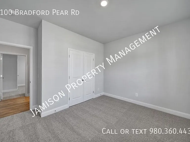 1100 Bradford Pear Rd — Photo 5