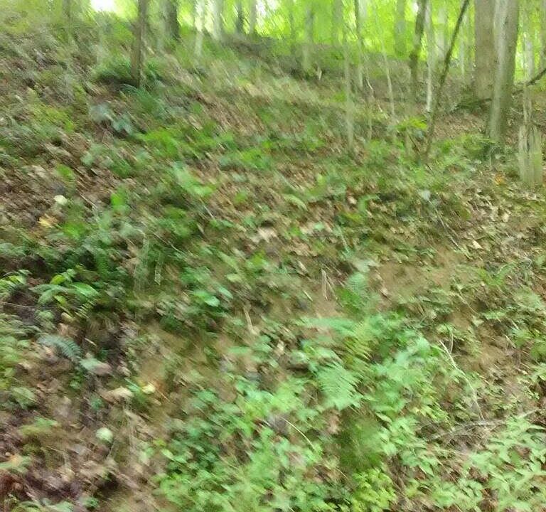 2nd image of Murphy Hollow Rd