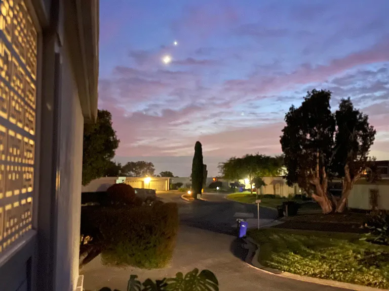 View from Side Garden