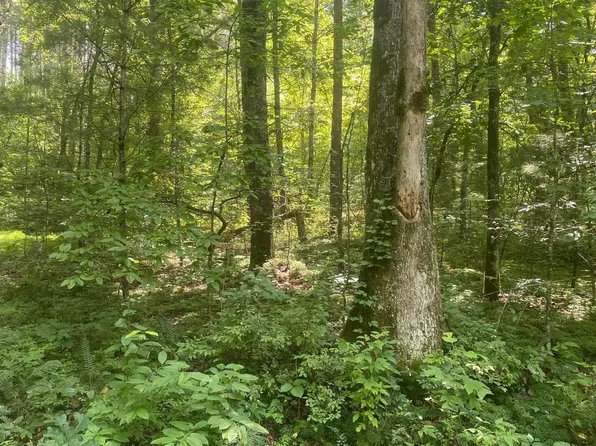 Murphy Hwy, Mineral Bluff, GA 30559