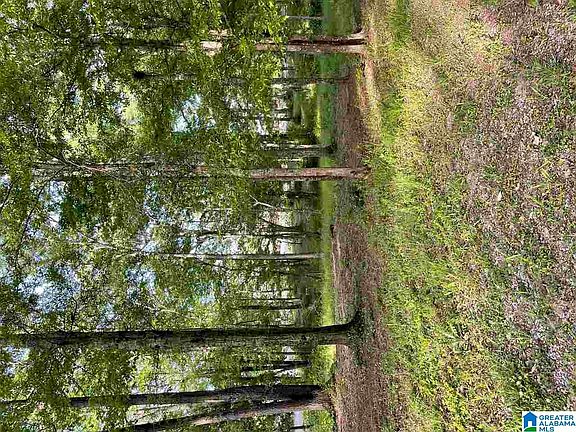 2nd image of 1058 Paradise Cove Ln