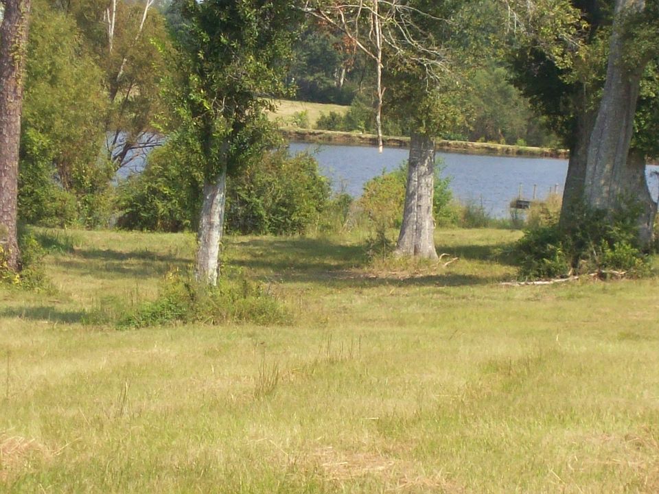 Lot view