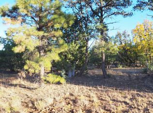 3462 Bobsled Cir, Heber, AZ 85928