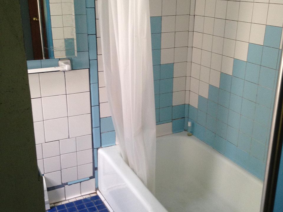 Bath-Shower, has sink and other vanity; toilet is separate