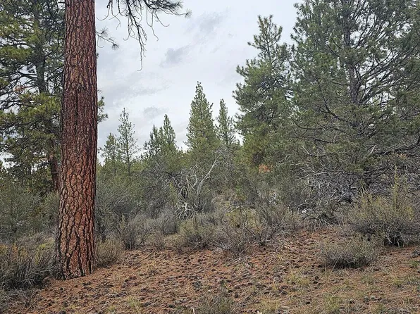 Grizzly Ln #3711-036C0-05800, Bonanza, OR 97623