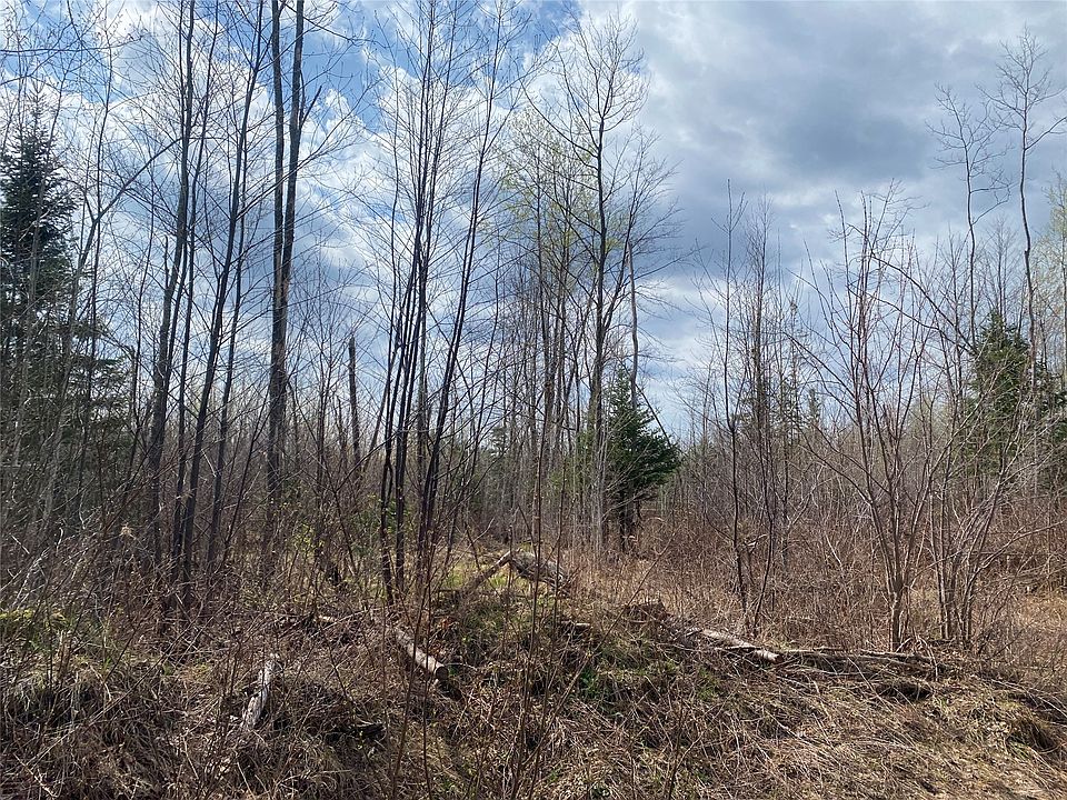 1st image of Near Wilson Lake Road