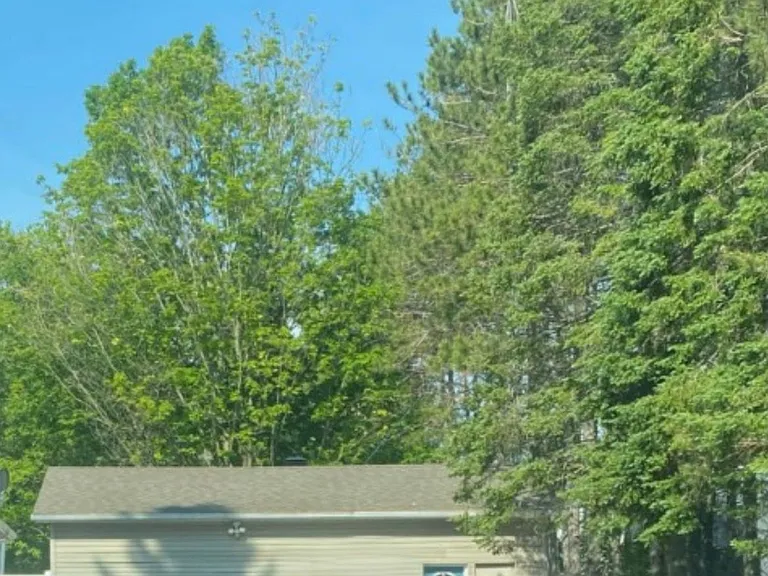 16632 York Durham Line #GARAGE — Photo 23