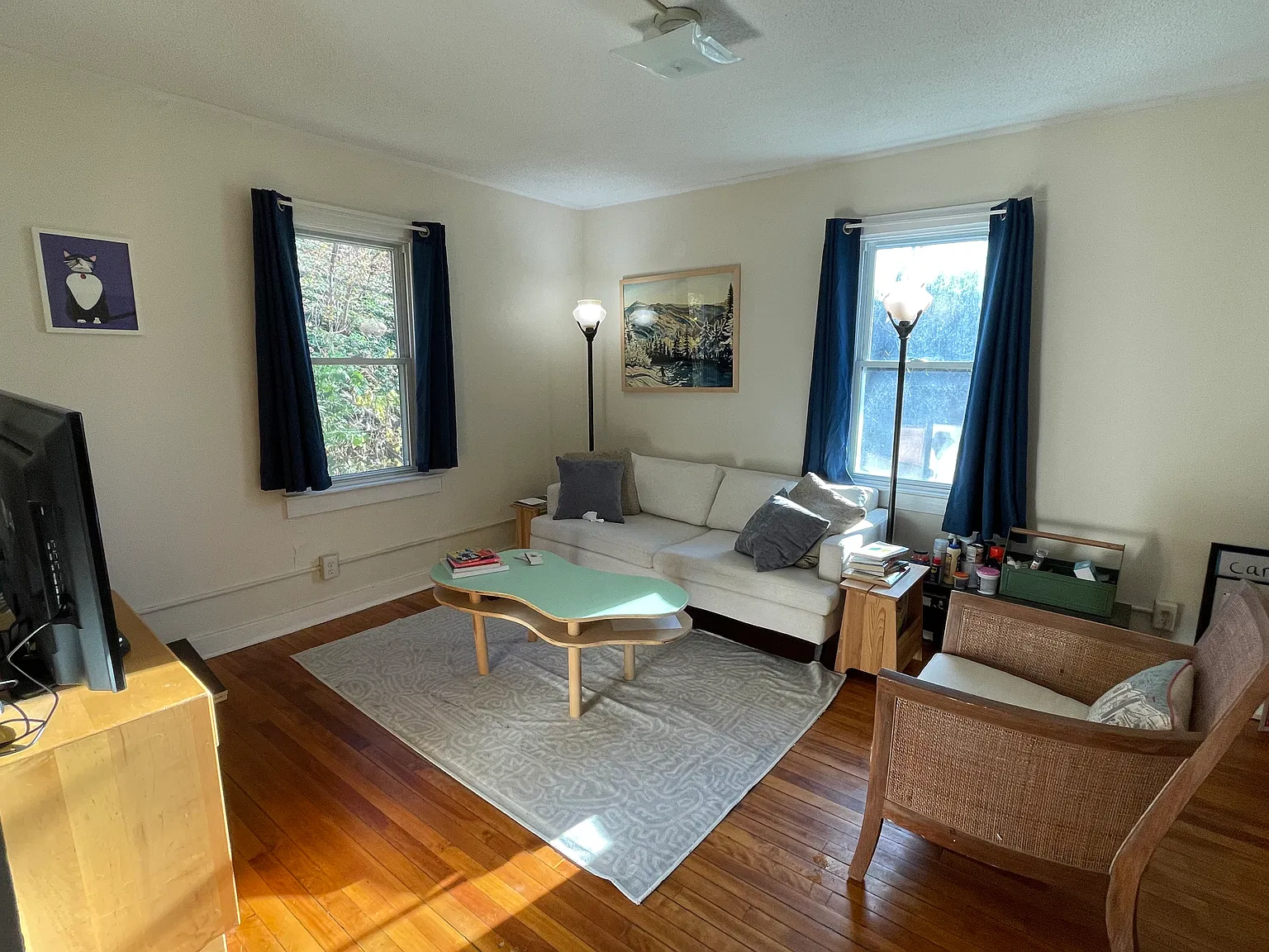 4 bed, 1100 sqft, $3,000 — Photo 2