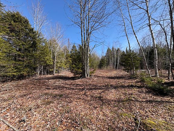 5th image of Lot 116 Bass Overlook