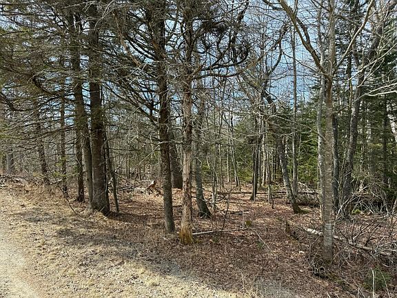 4th image of 20 Kristenbreigh Lane