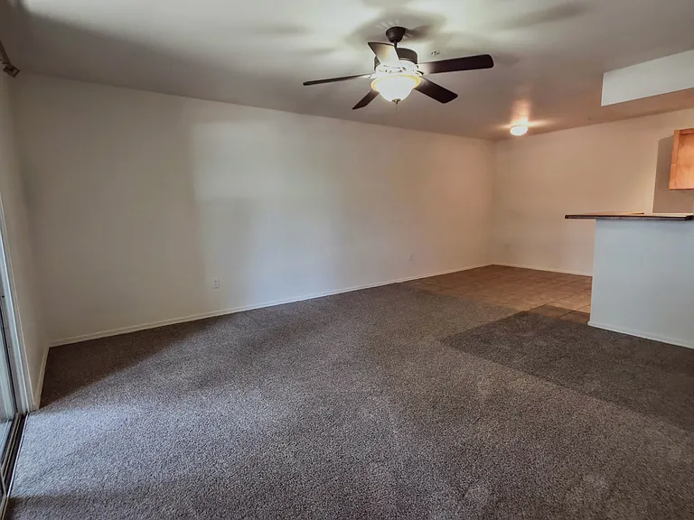 1185 W University Ave #13 — Photo 14