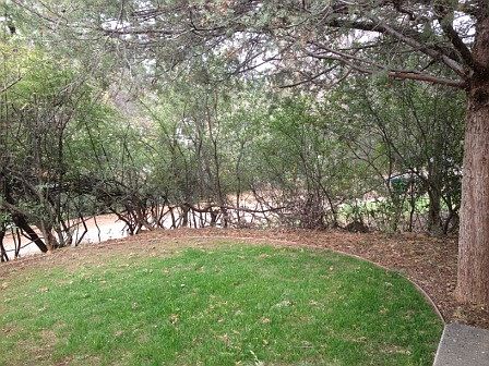 3rd image of 20415 Bay Meadows Dr