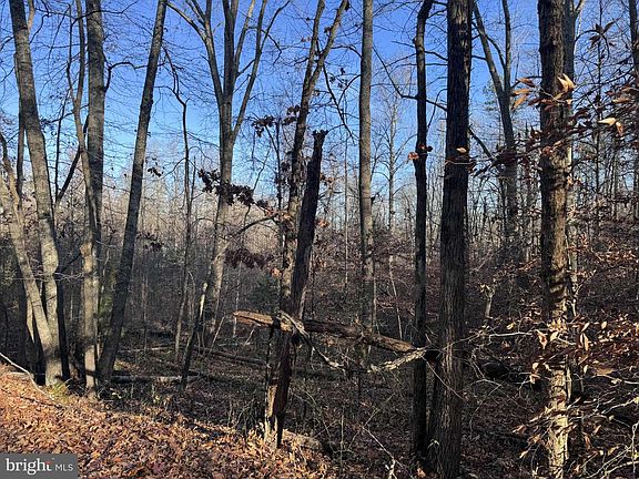 4th image of 0 Buggy Ln