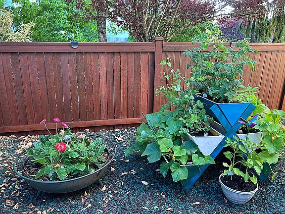 Wooded and fenced side yard 