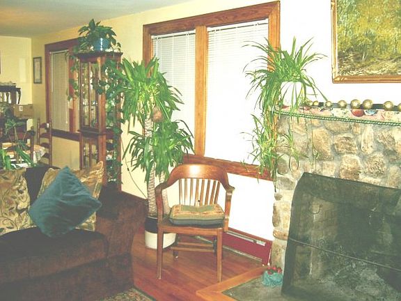 Living Room Fireplace 