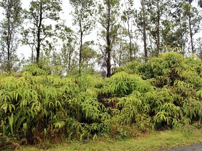 Ala Naulani Rd, Volcano, HI, 96785