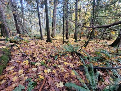 5376 Reese Hill Road, Sumas, WA, 98295