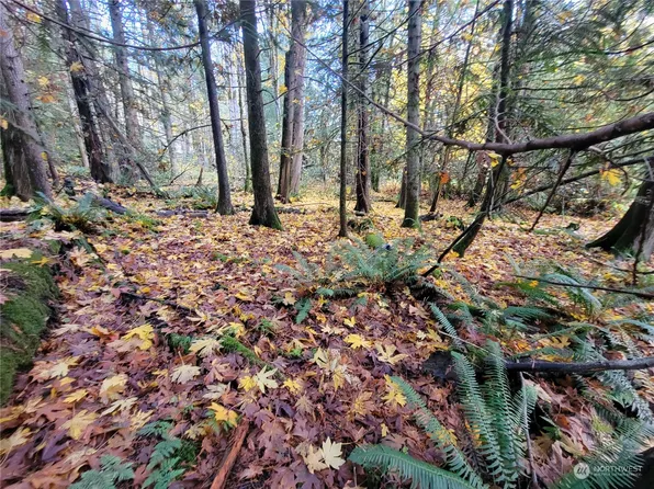 5376 Reese Hill Road, Sumas, WA 98295