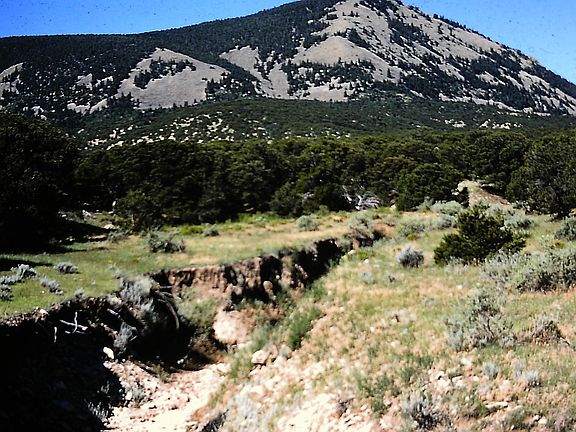 2nd image of County Road 542