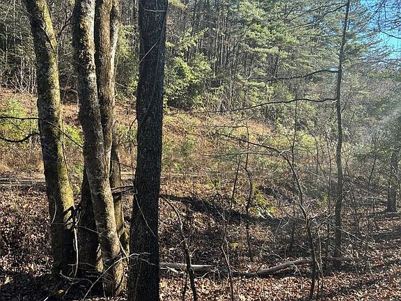 4th image of 1.03 Deep Forest Road