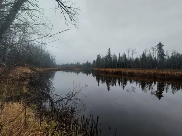 PARCEL D County Rd #119, Kabetogama, MN 56669