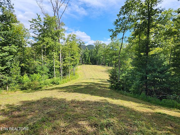 41st image of 2000 E Millers Cove Rd
