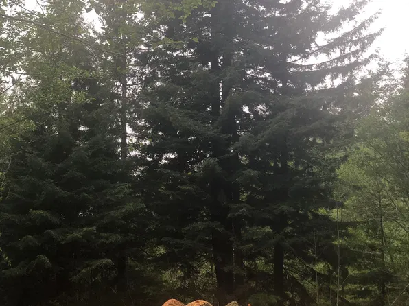 1550 Hunter Creek Rd, Klamath, CA 95548