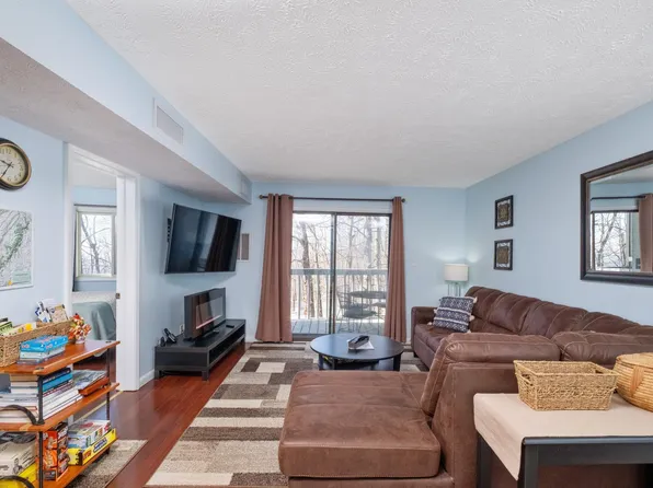 250 Timbers, Wintergreen Resort, VA 22967