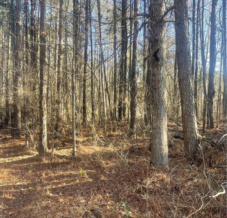 1st image of Farrell Rd