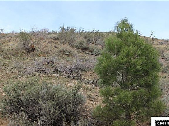 4th image of 4158 Timberline Dr