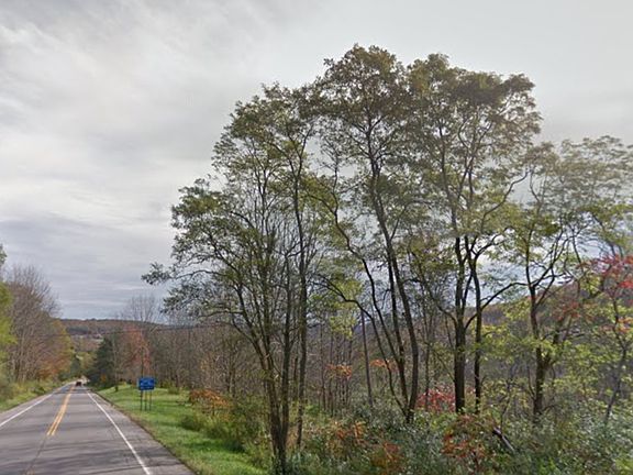 Downhill, Rte 242