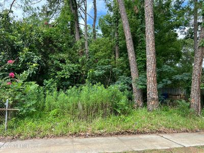 0 MONCRIEF Road, Jacksonville, FL, 32219