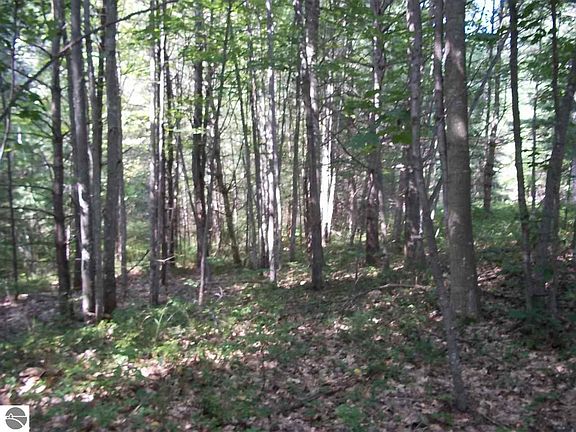 3rd image of 0 N Baldwin Resort Rd Lot 1