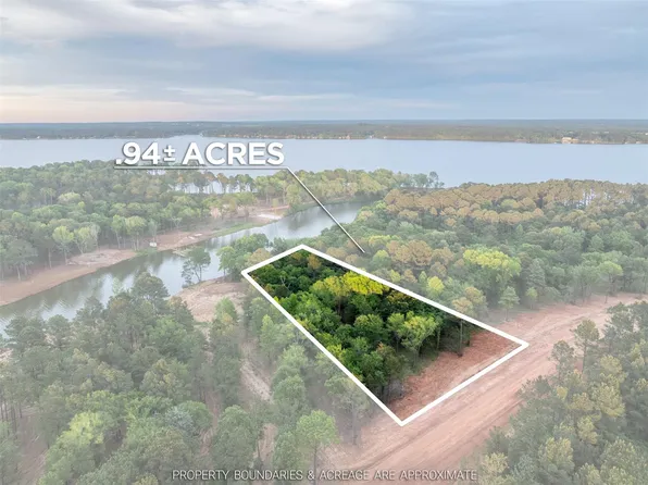 0 Private Road 4300 Lot 20, Frankston, TX 75763