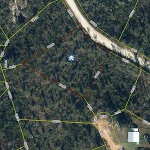 ANDERSON DRIVE LOT 12, Alford, FL, 32420