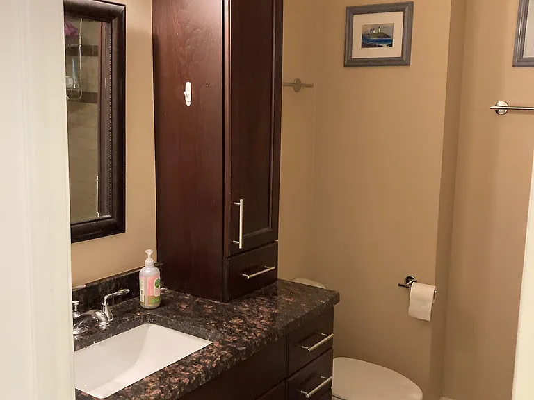 212 N Halsted St #2 — Photo 20