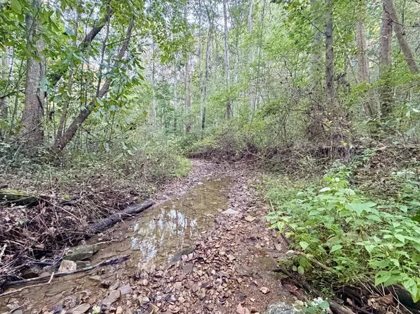 2583 Tong Hollow Rd, Bainbridge, OH 45612