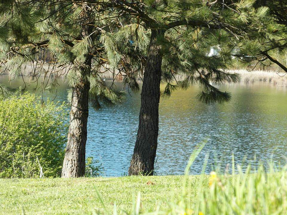 View from the front yard