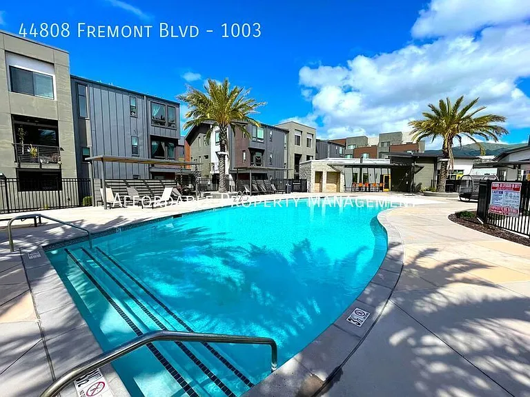 44808 Fremont Blvd #1003 — Photo 19