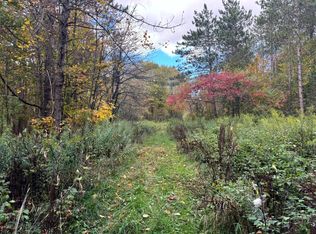 1.4 Wart Rd #4, Lacona, NY 13083