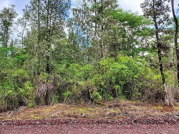 3rd image of 16-2063 Pearl Dr Lot 21