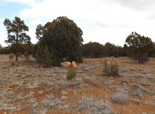 2 Sec #31, Overgaard, AZ 85933