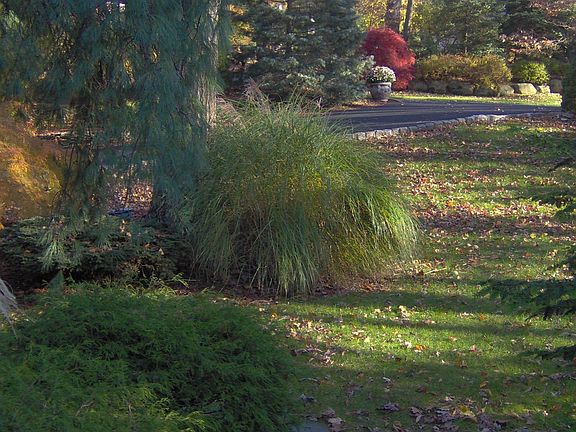 extensive landscaping