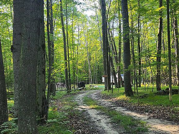 3rd image of 5628 Oak Run