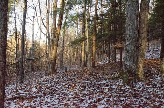 2nd image of 135 Beaver Dams Rd