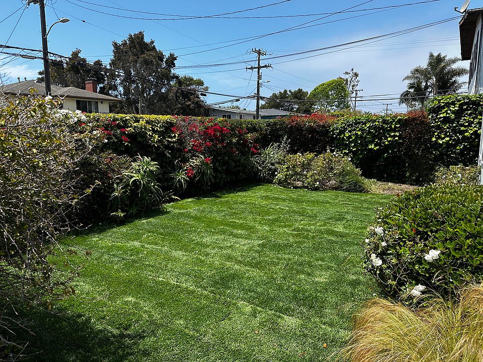 Front Yard