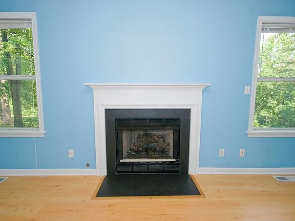 Gas or WoodBurning FP