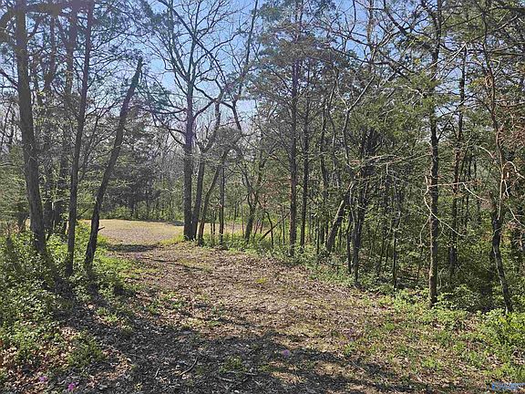 4th image of 4025 High Mountain Rd NE