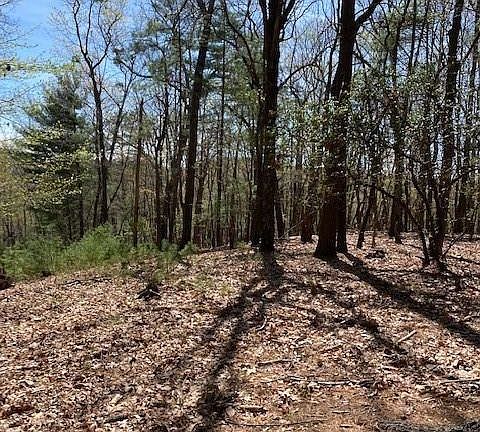 4th image of LOT 189 Blazing Ridge Trl