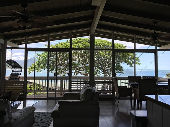 Looking out at the monkey pod tree from the kitchen / living